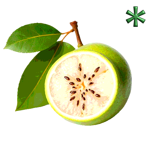 feijoas