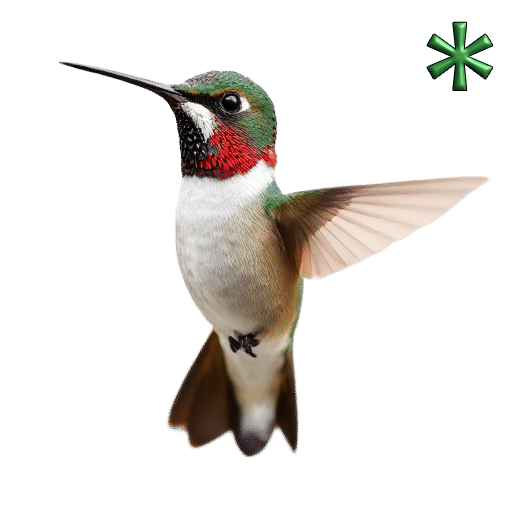 hummingbirds