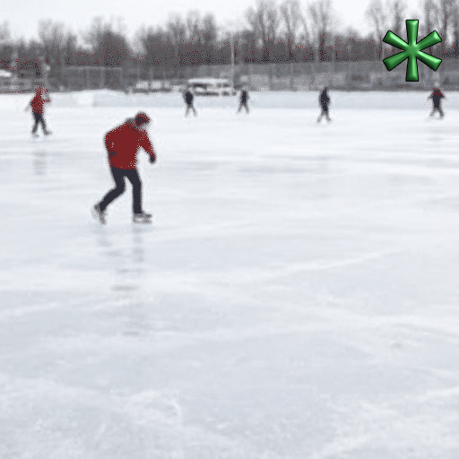 ice skaters