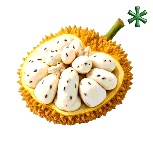 jackfruit seeds