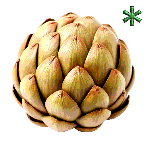 jerusalem artichokes