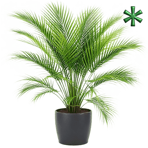 kentia palms