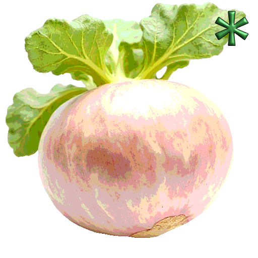 kohlrabis