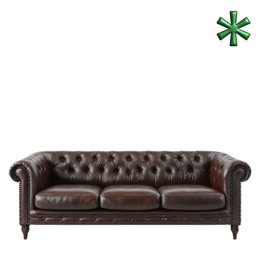 leather couches