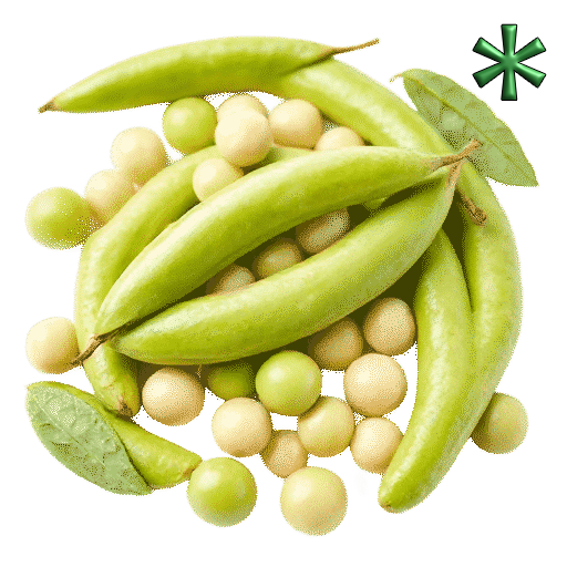 Lima beans