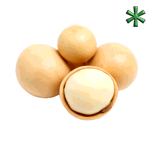 macadamia nuts