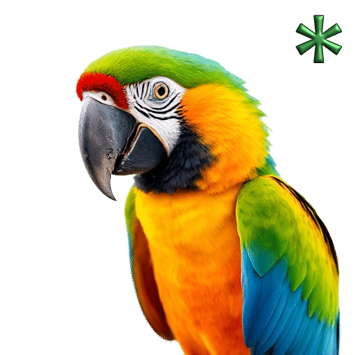 macaws