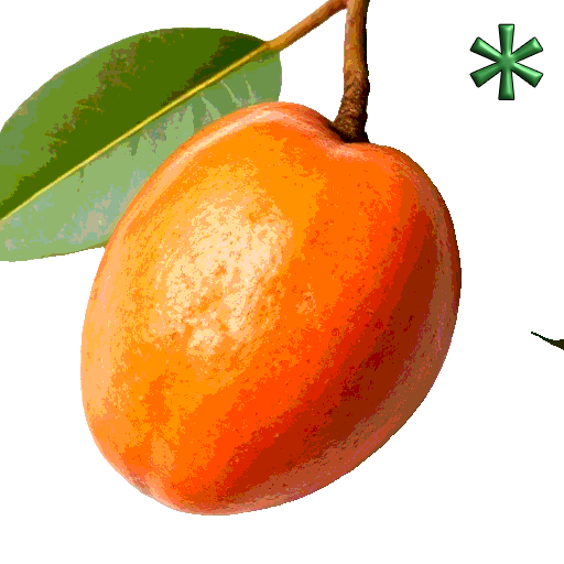 mamey sapotes