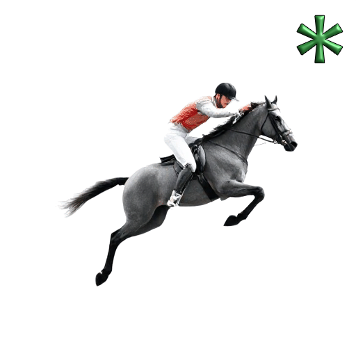 modern pentathlon events