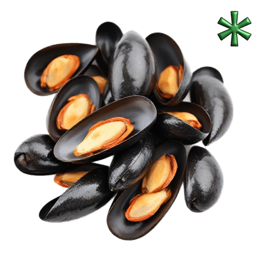 mussels