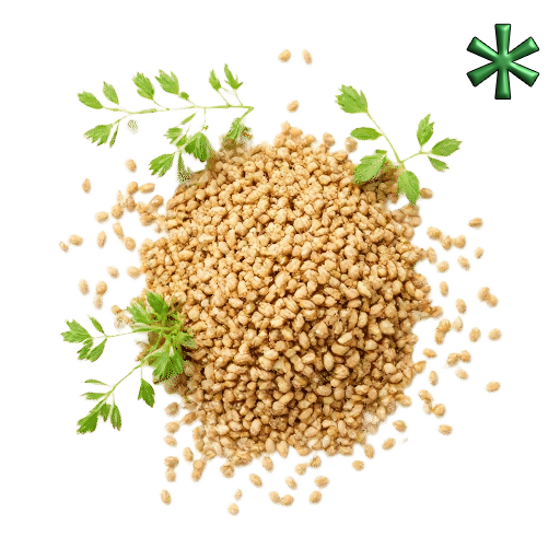 mustard seeds