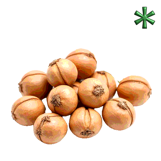 pine nuts