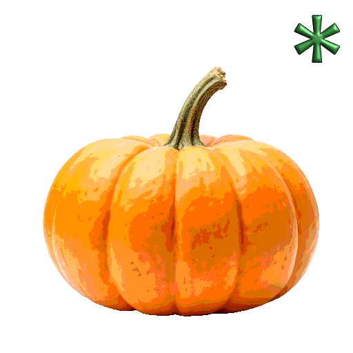 pumpkins