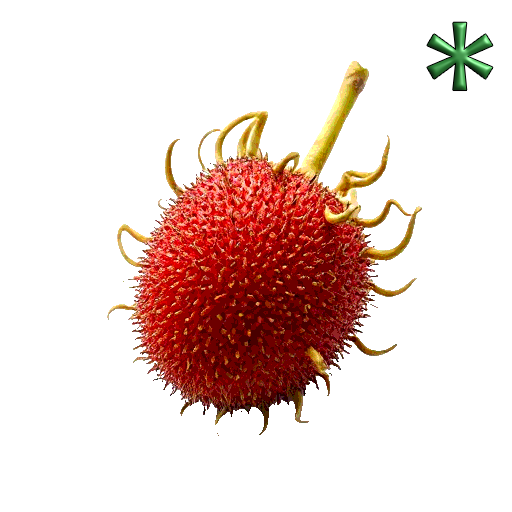 rambutans