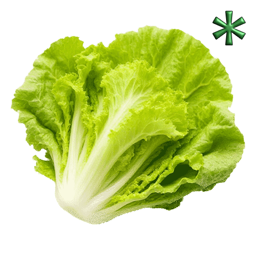 Romaine Lettuces