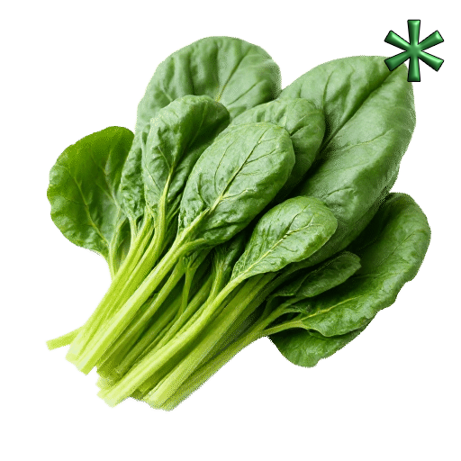 Savoy spinach leaves