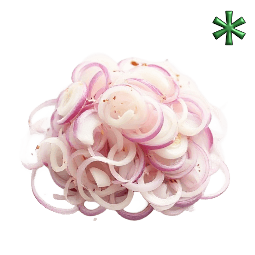 sliced red onions slices