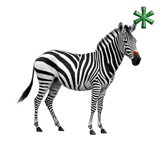 zebras
