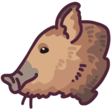boar