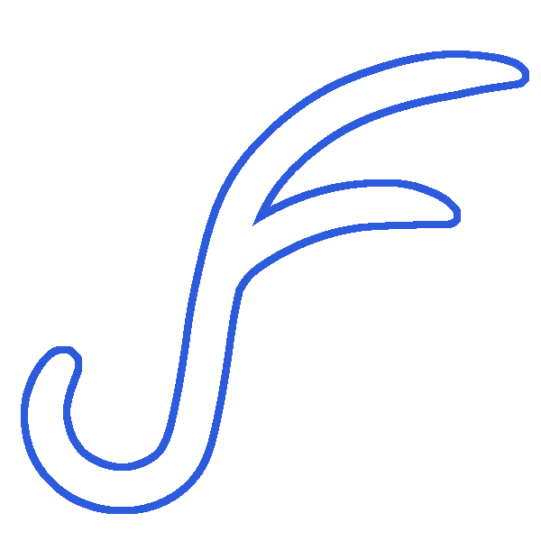 Divination (D&D Wizard Subclass)