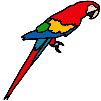 scarlet macaw