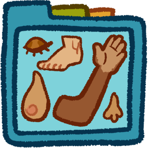 body parts folder