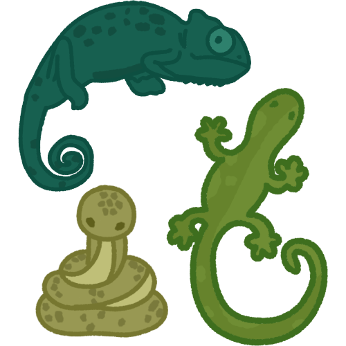 reptiles