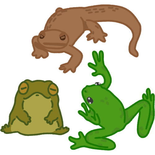 amphibians
