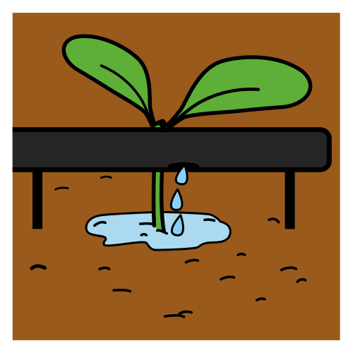 drip irrigation