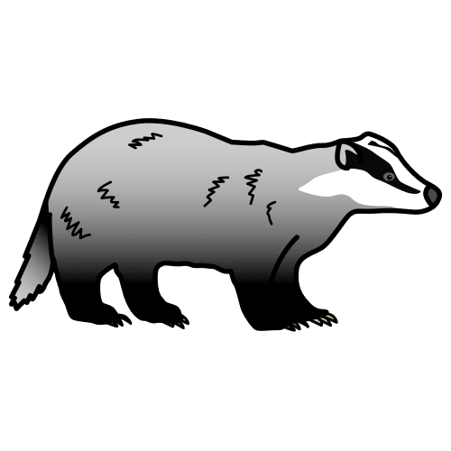 badger
