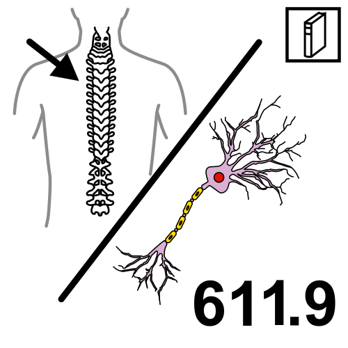 Universal Decimal Classification
