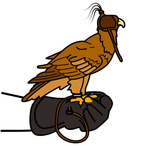 falconry