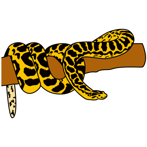 yellow anaconda