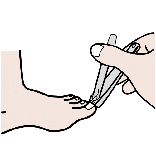 clip toenails
