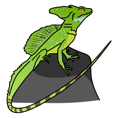 basilisk