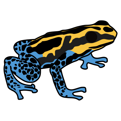 rana punta de flecha