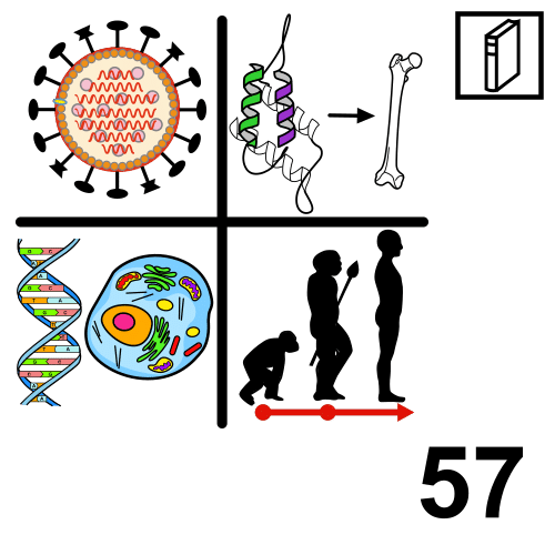 Universal Decimal Classification