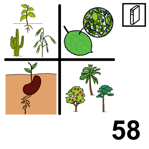 Universal Decimal Classification