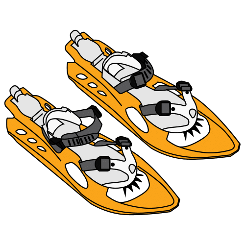 snowshoes