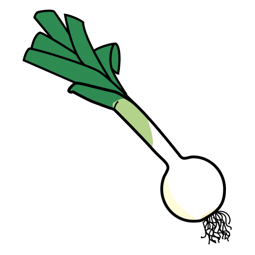 spring onion