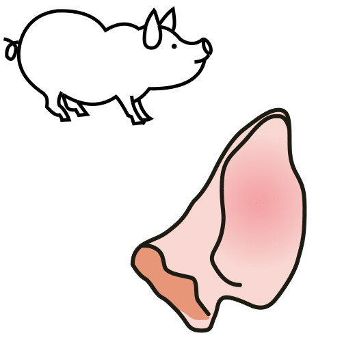 oreja de cerdo