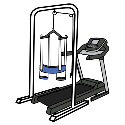 treadmill with harness