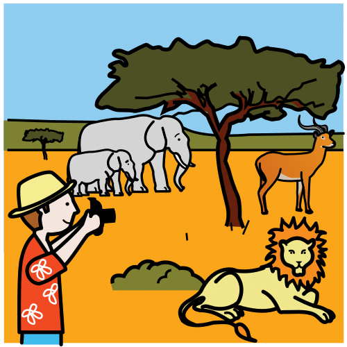 safari fotográfico