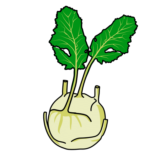 kohlrabi