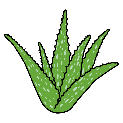aloe vera