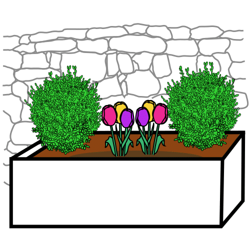 flower bed
