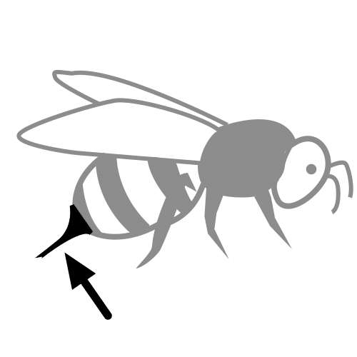 stinger