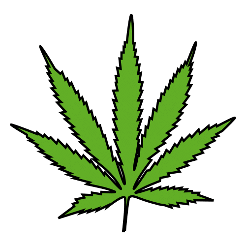 cannabis