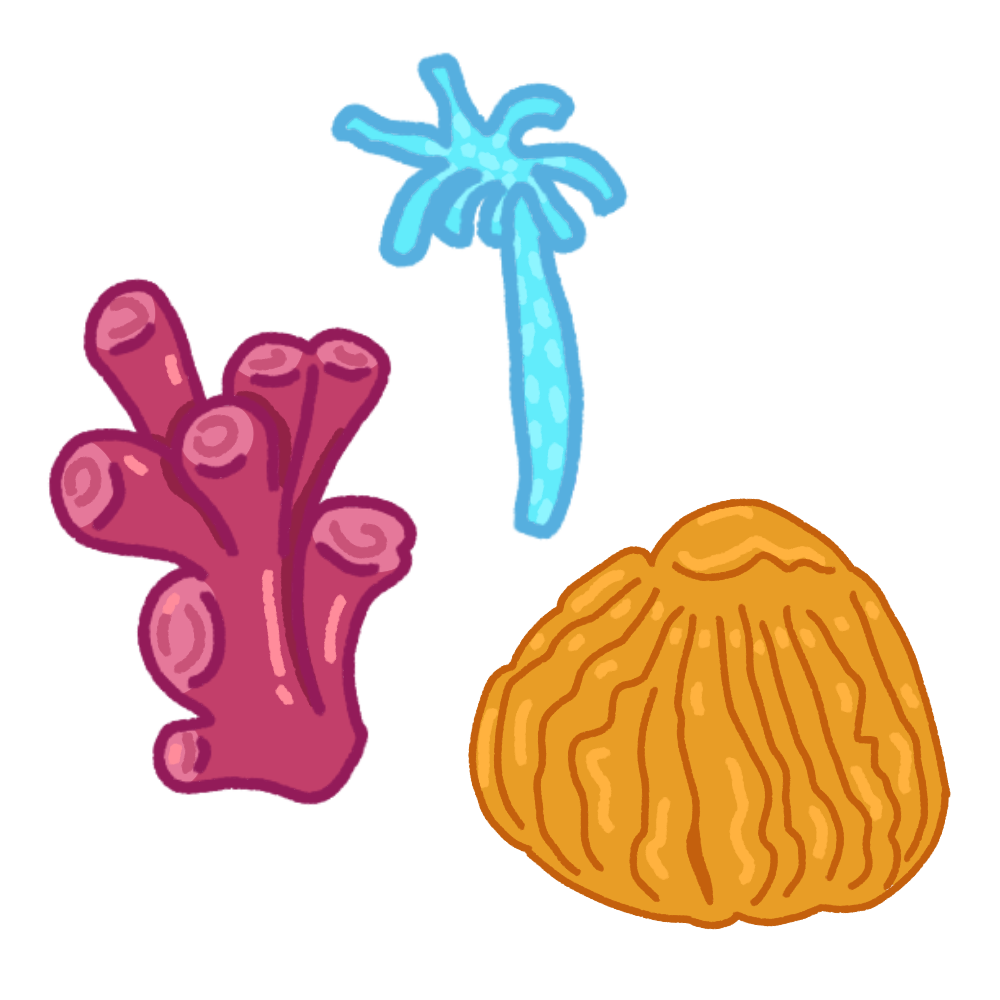 coral