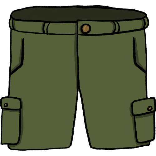 cargo shorts